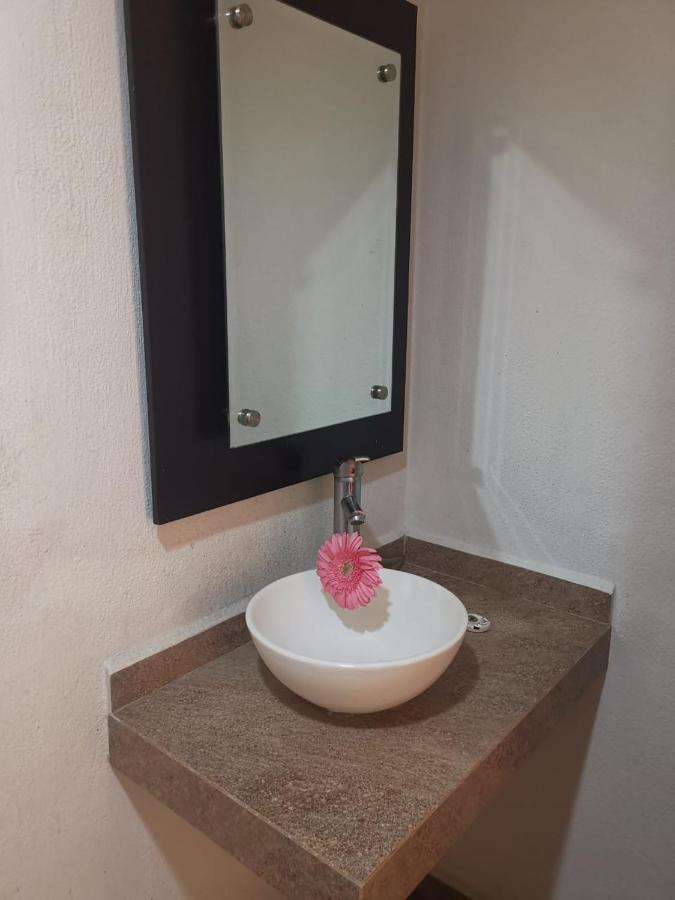 Hotel Jorge Alejandro Guadalajara Zewnętrze zdjęcie