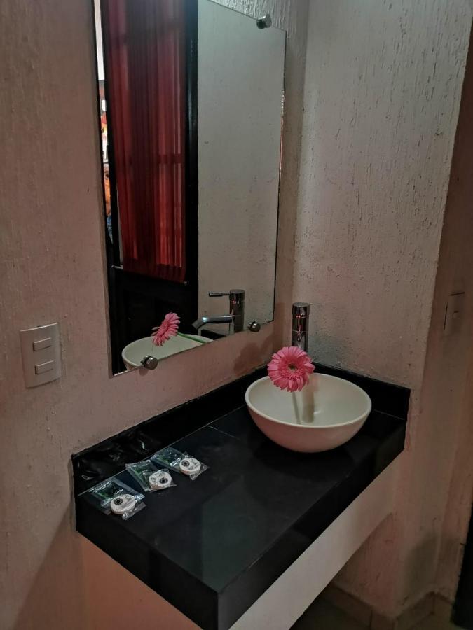 Hotel Jorge Alejandro Guadalajara Zewnętrze zdjęcie